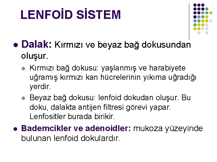 LENFOİD SİSTEM l Dalak: Kırmızı ve beyaz bağ dokusundan oluşur. l l l Kırmızı