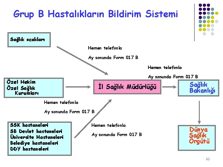 Grup B Hastalıkların Bildirim Sistemi Sağlık ocakları Hemen telefonla Ay sonunda Form 017 B