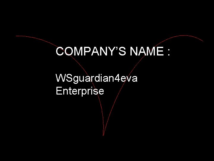 COMPANY’S NAME : WSguardian 4 eva Enterprise 