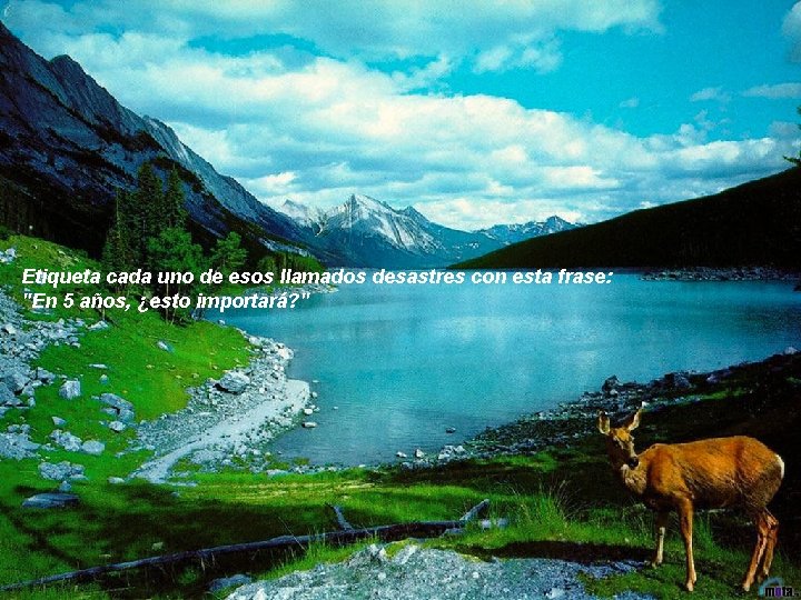 Etiqueta cada uno de esos llamados desastres con esta frase: "En 5 años, ¿esto