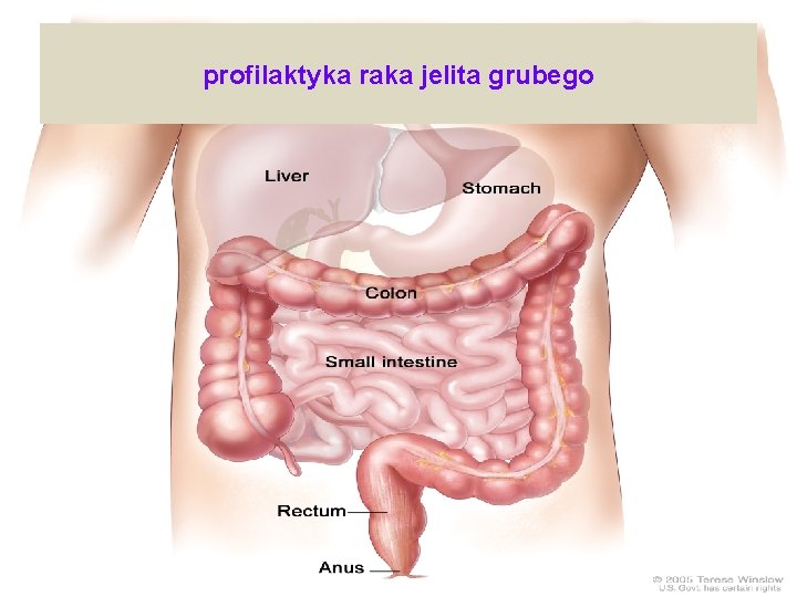 profilaktyka raka jelita grubego 