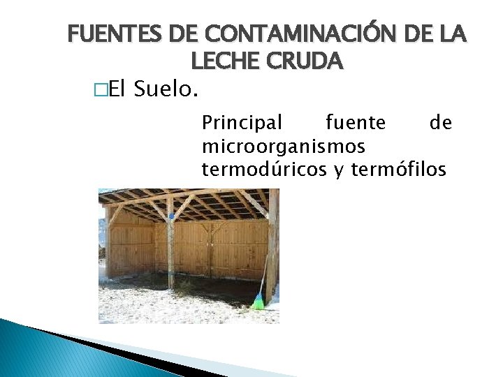 FUENTES DE CONTAMINACIÓN DE LA LECHE CRUDA �El Suelo. Principal fuente de microorganismos termodúricos