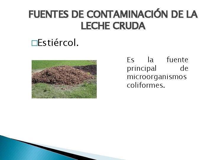 FUENTES DE CONTAMINACIÓN DE LA LECHE CRUDA �Estiércol. Es la fuente principal de microorganismos