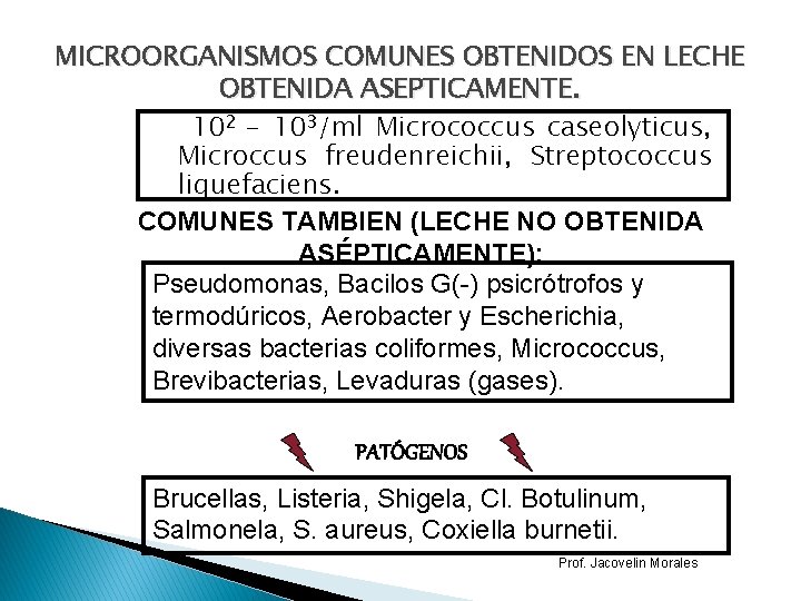 MICROORGANISMOS COMUNES OBTENIDOS EN LECHE OBTENIDA ASEPTICAMENTE. 102 - 103/ml Micrococcus caseolyticus, Microccus freudenreichii,