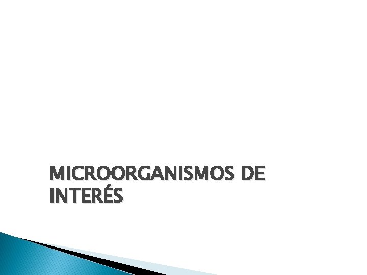 MICROORGANISMOS DE INTERÉS 