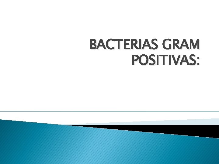BACTERIAS GRAM POSITIVAS: 