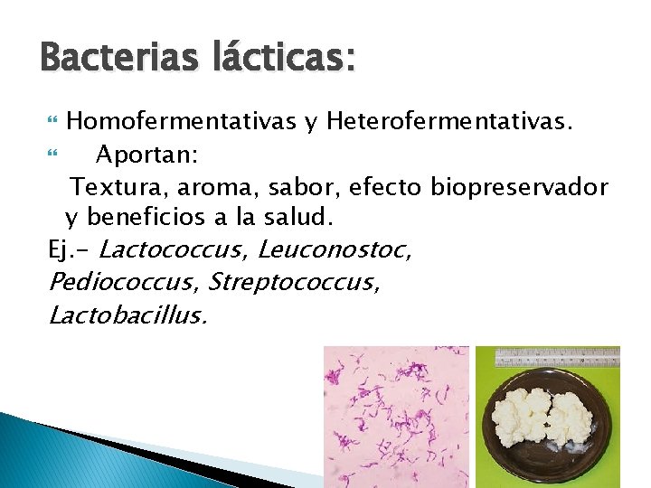 Bacterias lácticas: Homofermentativas y Heterofermentativas. Aportan: Textura, aroma, sabor, efecto biopreservador y beneficios a