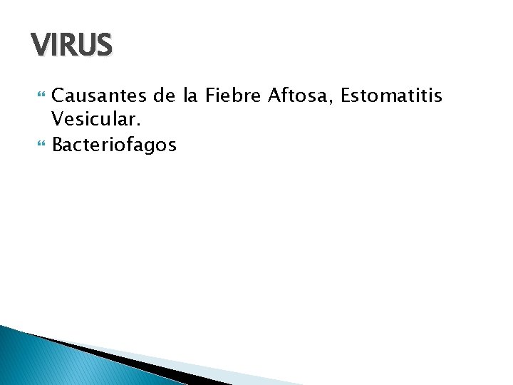 VIRUS Causantes de la Fiebre Aftosa, Estomatitis Vesicular. Bacteriofagos 