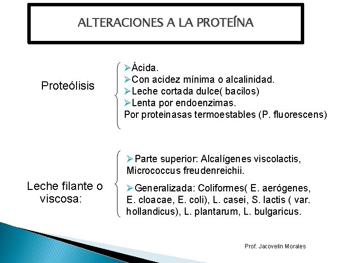 ALTERACIONES A LA PROTEÍNA Proteólisis ØÁcida. ØCon acidez mínima o alcalinidad. ØLeche cortada dulce(