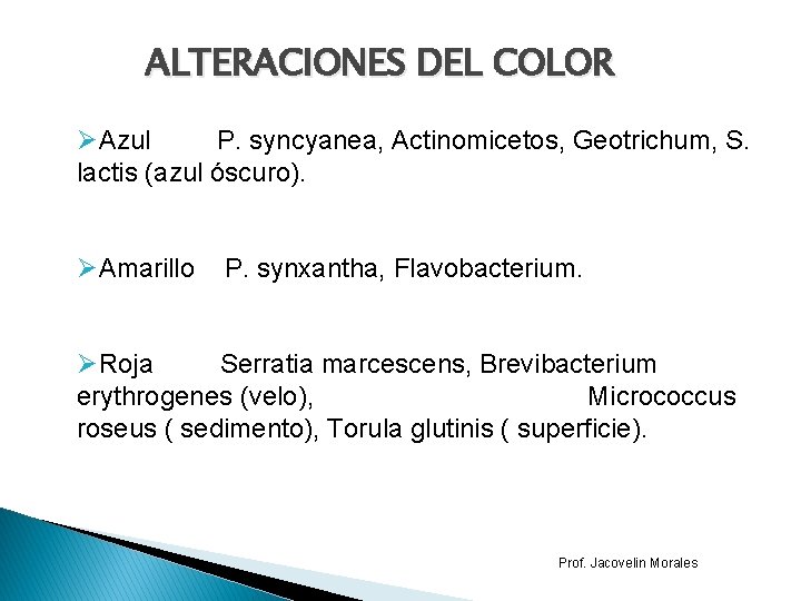 ALTERACIONES DEL COLOR ØAzul P. syncyanea, Actinomicetos, Geotrichum, S. lactis (azul óscuro). ØAmarillo P.