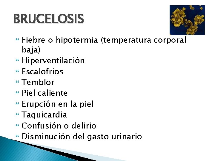 BRUCELOSIS Fiebre o hipotermia (temperatura corporal baja) Hiperventilación Escalofríos Temblor Piel caliente Erupción en