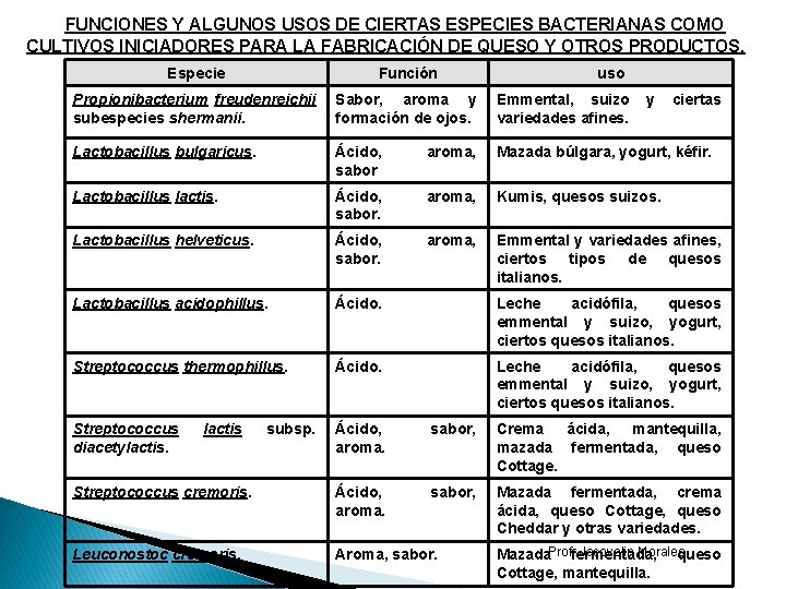 FUNCIONES Y ALGUNOS USOS DE CIERTAS ESPECIES BACTERIANAS COMO CULTIVOS INICIADORES PARA LA FABRICACIÓN