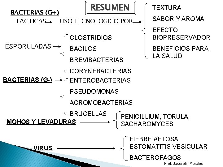 RESUMEN BACTERIAS (G+) LÁCTICAS USO TECNOLÓGICO POR SABOR Y AROMA EFECTO BIOPRESERVADOR CLOSTRIDIOS ESPORULADAS