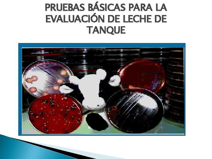 PRUEBAS BÁSICAS PARA LA EVALUACIÓN DE LECHE DE TANQUE 