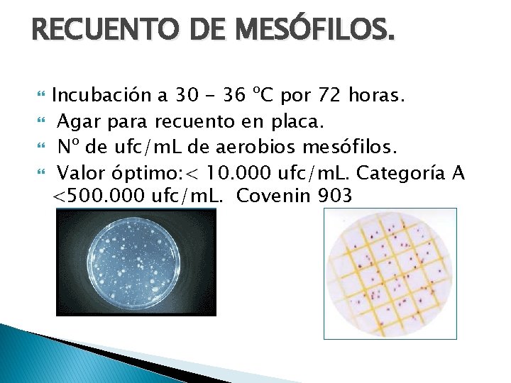 RECUENTO DE MESÓFILOS. Incubación a 30 - 36 ºC por 72 horas. Agar para