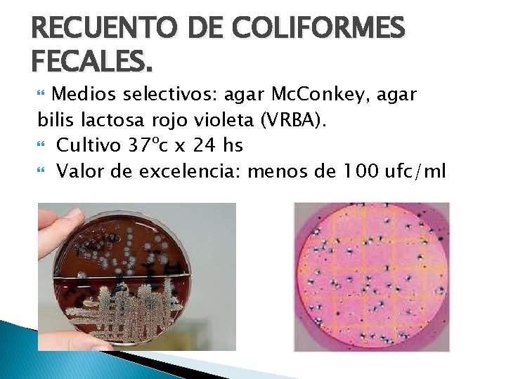 RECUENTO DE COLIFORMES FECALES. Medios selectivos: agar Mc. Conkey, agar bilis lactosa rojo violeta