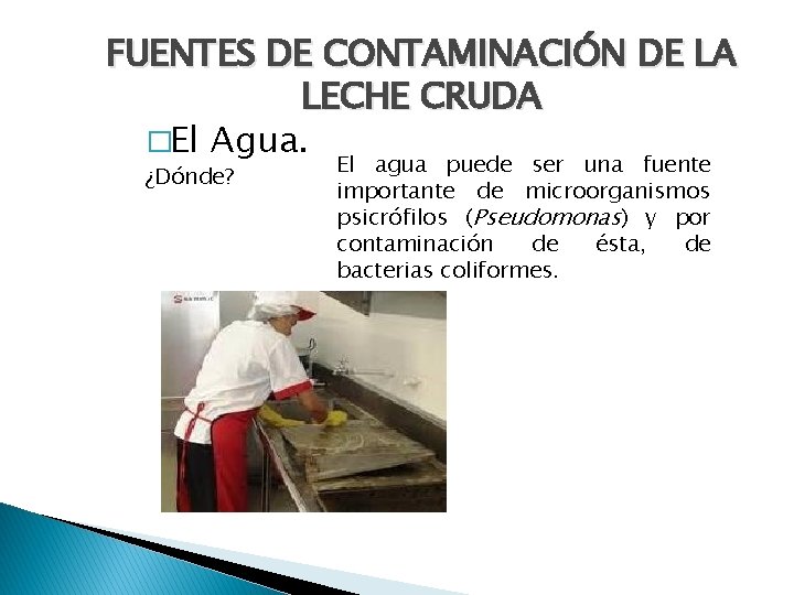 FUENTES DE CONTAMINACIÓN DE LA LECHE CRUDA �El Agua. ¿Dónde? El agua puede ser