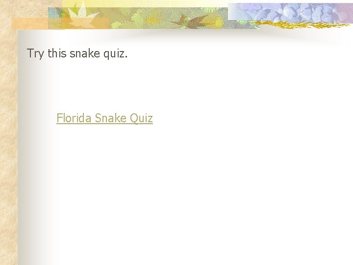Try this snake quiz. Florida Snake Quiz 