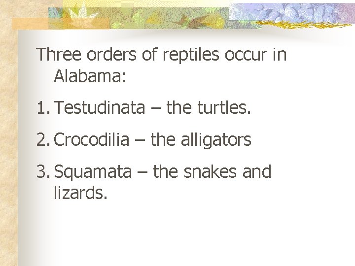 Three orders of reptiles occur in Alabama: 1. Testudinata – the turtles. 2. Crocodilia
