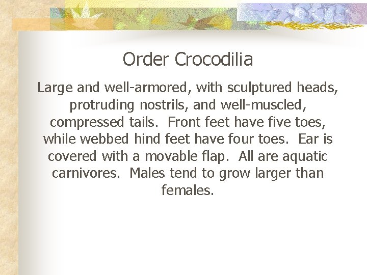 Order Crocodilia Large and well-armored, with sculptured heads, protruding nostrils, and well-muscled, compressed tails.