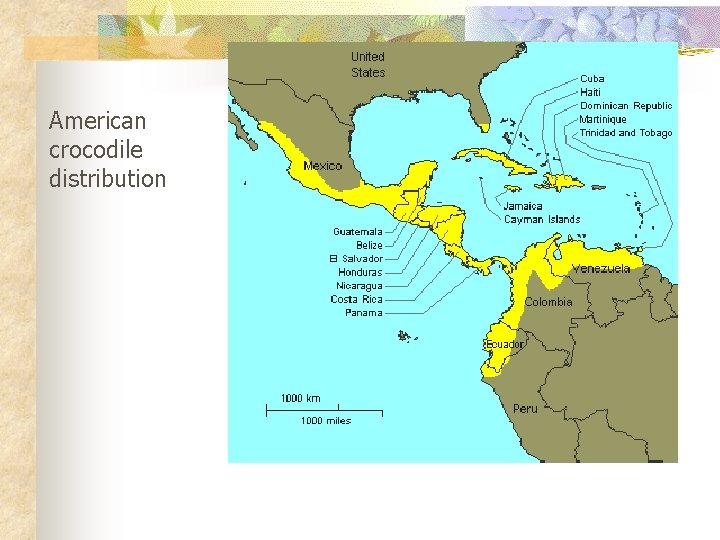 American crocodile distribution 
