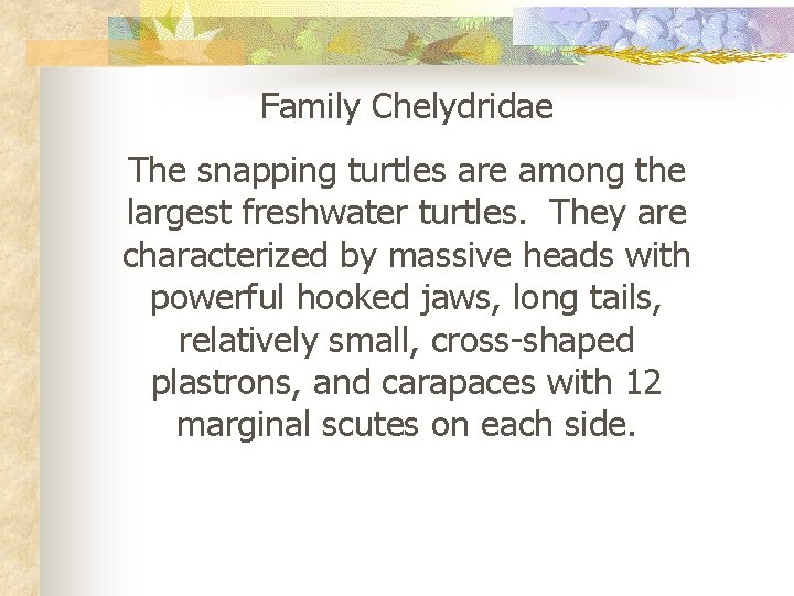 Family Chelydridae The snapping turtles are among the largest freshwater turtles. They are characterized