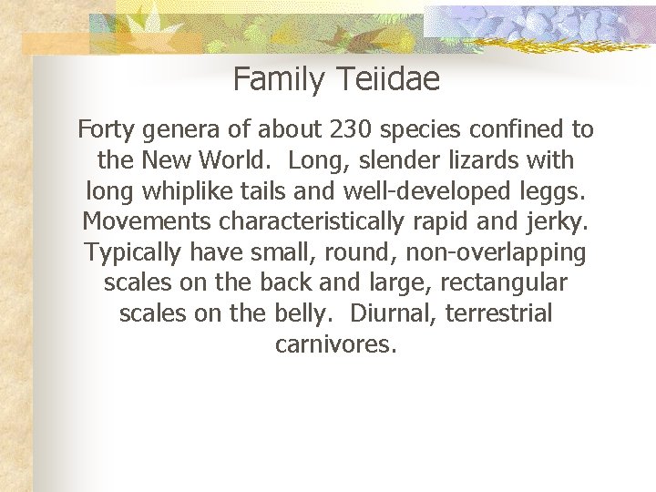 Family Teiidae Forty genera of about 230 species confined to the New World. Long,