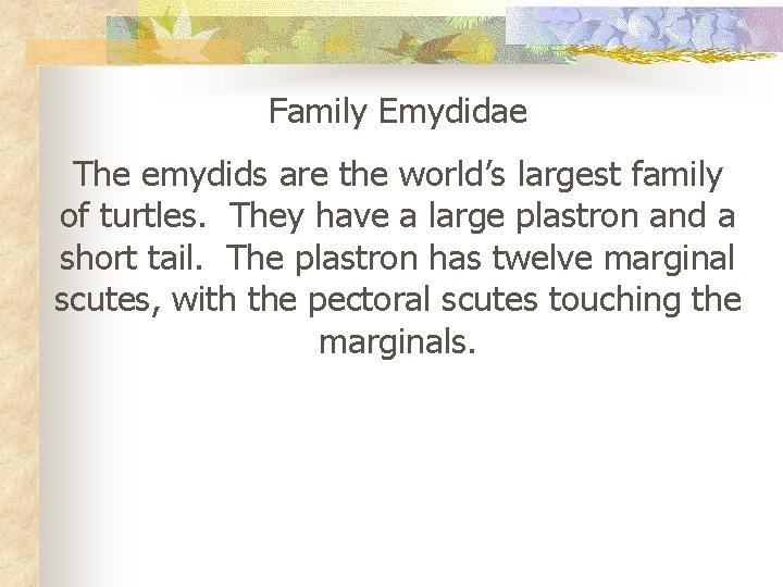 Family Emydidae The emydids are the world’s largest family of turtles. They have a