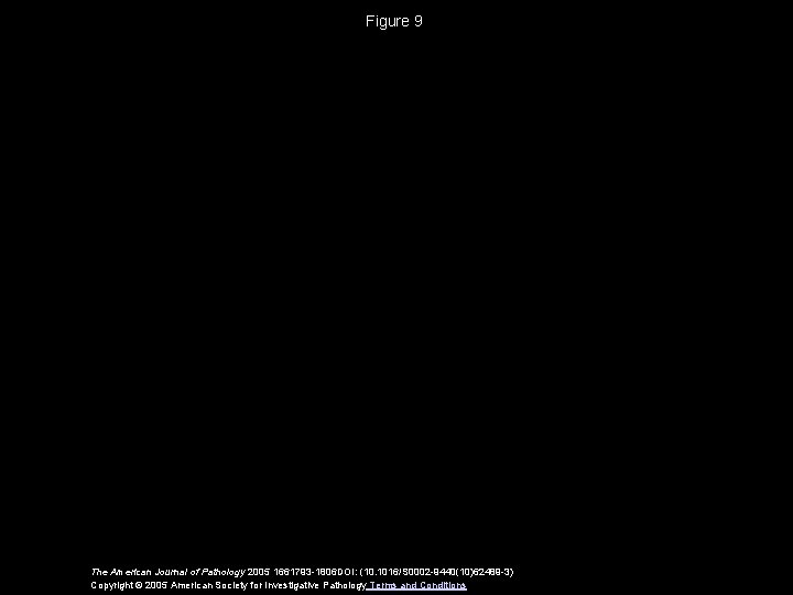 Figure 9 The American Journal of Pathology 2005 1661793 -1806 DOI: (10. 1016/S 0002