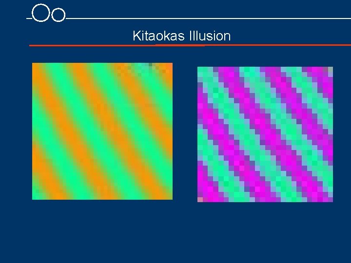 Kitaokas Illusion 