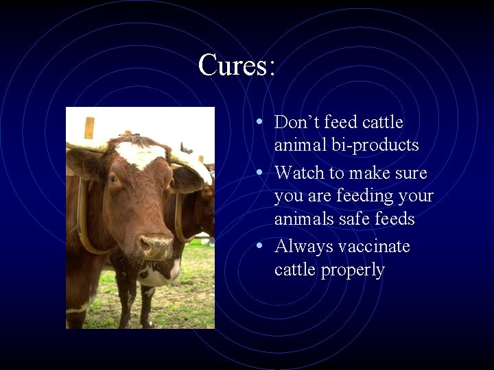 Cures: • Don’t feed cattle animal bi-products • Watch to make sure you are