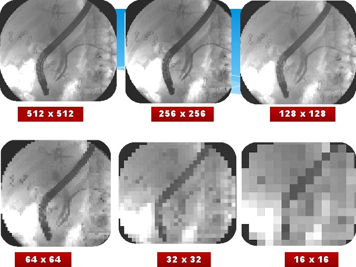 512 x 512 64 x 64 256 x 256 32 x 32 128 x