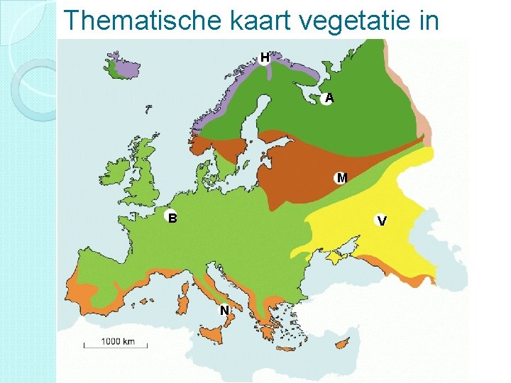 Thematische kaart vegetatie in H Europa A M B V N 