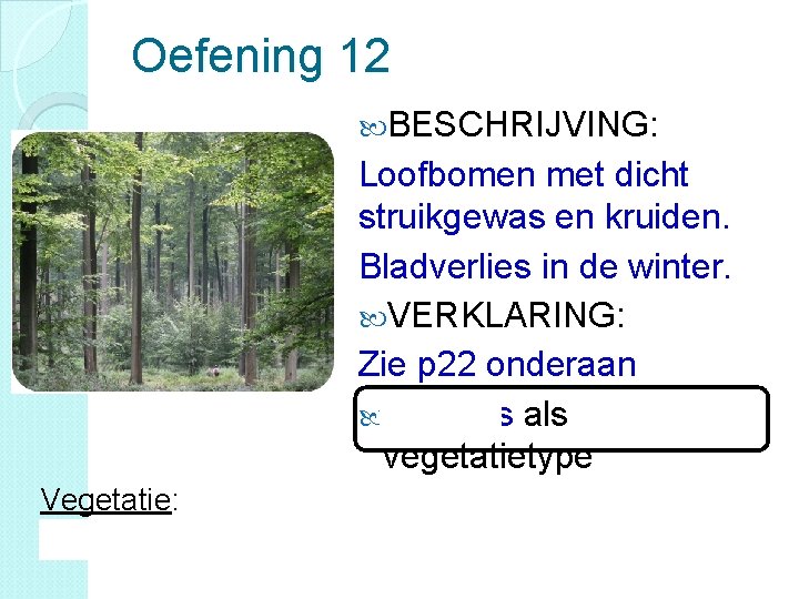 Oefening 12 BESCHRIJVING: Loofbomen met dicht struikgewas en kruiden. Bladverlies in de winter. VERKLARING: