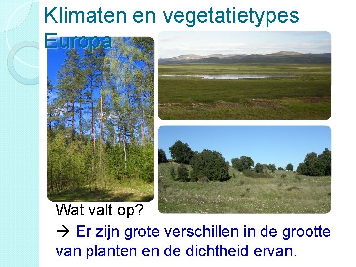 Klimaten en vegetatietypes Europa Wat valt op? Er zijn grote verschillen in de grootte