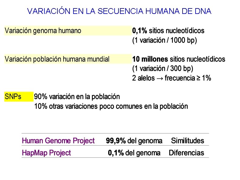 VARIACIÓN EN LA SECUENCIA HUMANA DE DNA 