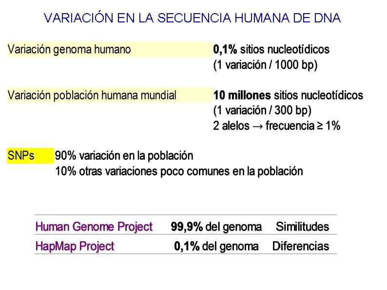 VARIACIÓN EN LA SECUENCIA HUMANA DE DNA VARIACIÓN EN LA SECUENCIA HUMANA DE DNA