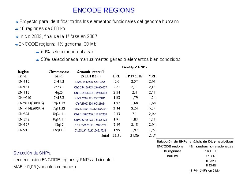 ENCODE REGIONS Proyecto para identificar todos los elementos funcionales del genoma humano 10 regiones