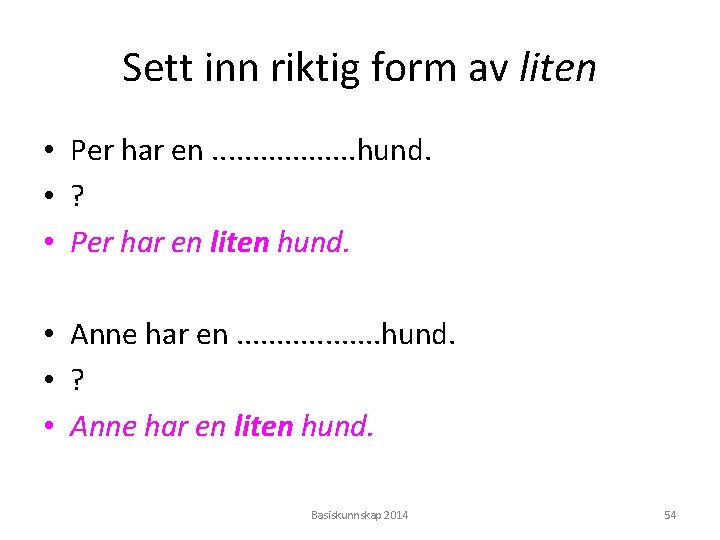 Sett inn riktig form av liten • Per har en. . . . hund.