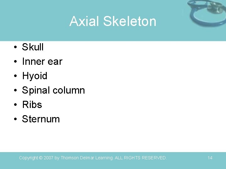 Axial Skeleton • • • Skull Inner ear Hyoid Spinal column Ribs Sternum Copyright