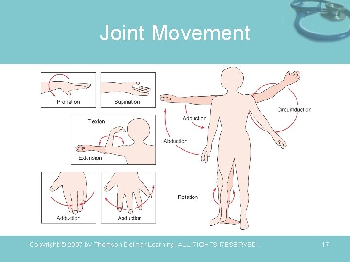 Joint Movement Copyright © 2007 by Thomson Delmar Learning. ALL RIGHTS RESERVED. 17 