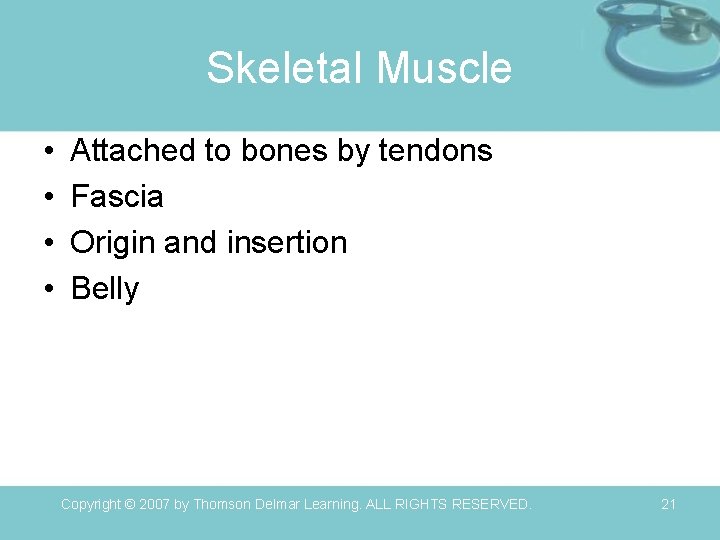 Skeletal Muscle • • Attached to bones by tendons Fascia Origin and insertion Belly