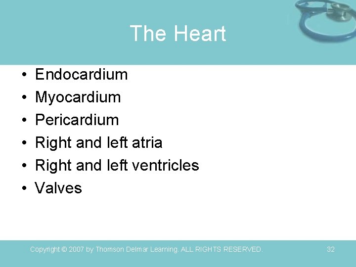 The Heart • • • Endocardium Myocardium Pericardium Right and left atria Right and