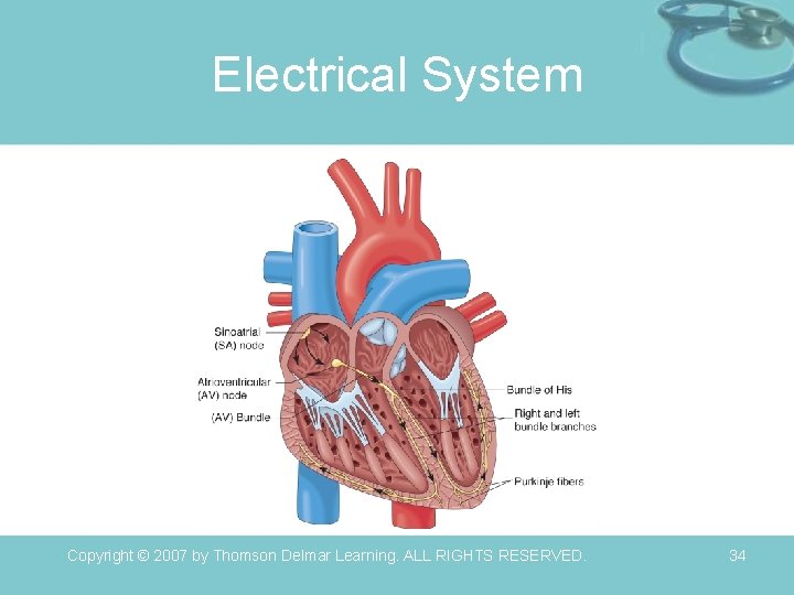 Electrical System Copyright © 2007 by Thomson Delmar Learning. ALL RIGHTS RESERVED. 34 