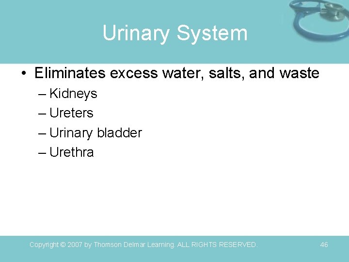 Urinary System • Eliminates excess water, salts, and waste – Kidneys – Ureters –