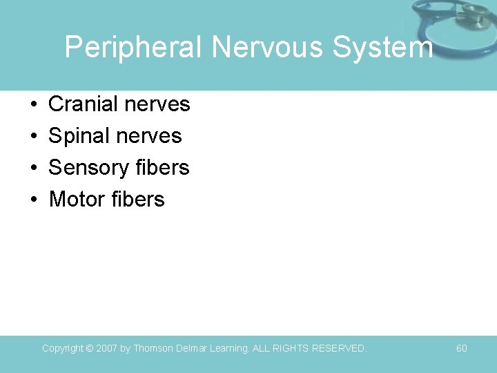 Peripheral Nervous System • • Cranial nerves Spinal nerves Sensory fibers Motor fibers Copyright