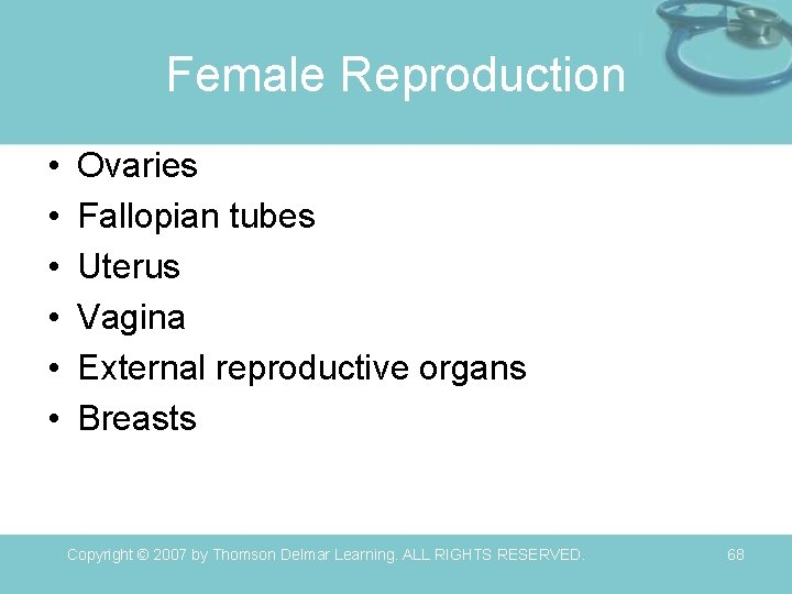 Female Reproduction • • • Ovaries Fallopian tubes Uterus Vagina External reproductive organs Breasts