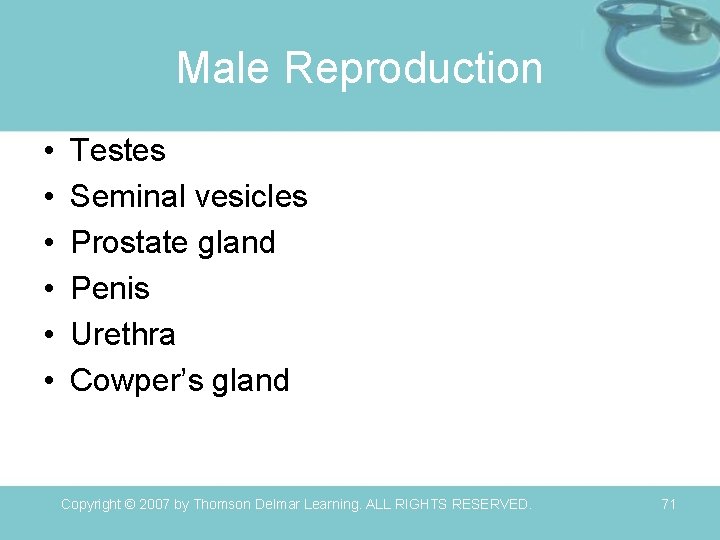 Male Reproduction • • • Testes Seminal vesicles Prostate gland Penis Urethra Cowper’s gland