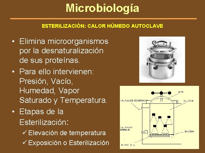 Microbiología ESTERILIZACIÓN: CALOR HÚMEDO AUTOCLAVE • Elimina microorganismos por la desnaturalización de sus proteínas.