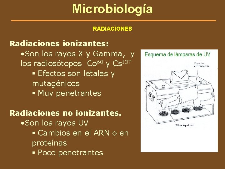 Microbiología RADIACIONES Radiaciones ionizantes: • Son los rayos X y Gamma, y los radiosótopos